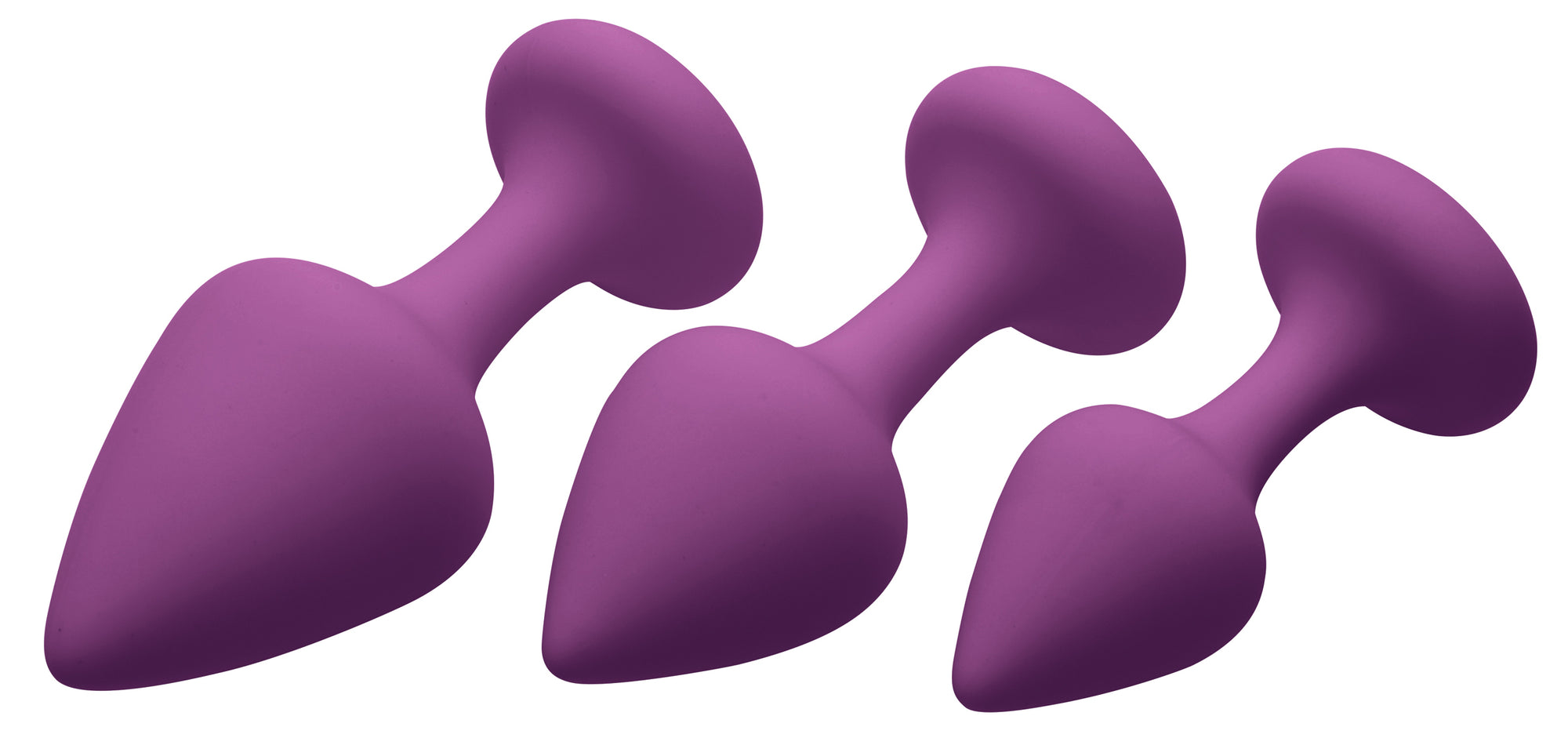 Purple Pleasures 3 Piece Silicone Anal Plugs
Anal Toys
Frisky Cupid’s Secret Stash